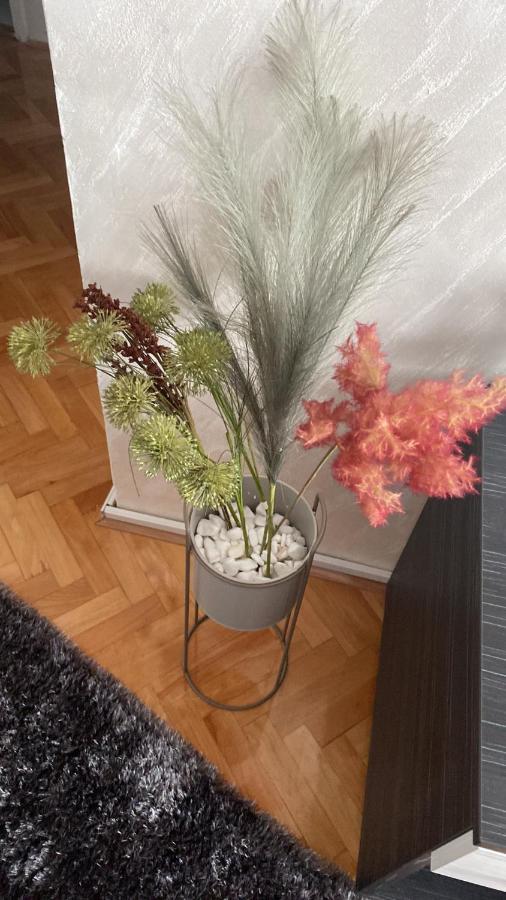 Apartman Bonaca Nis Exterior foto